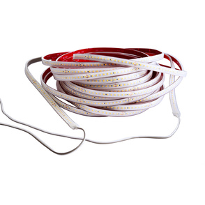 LED Stripes ab IP44 bei Ing. Lothar Kunze Elektro GmbH in Halle